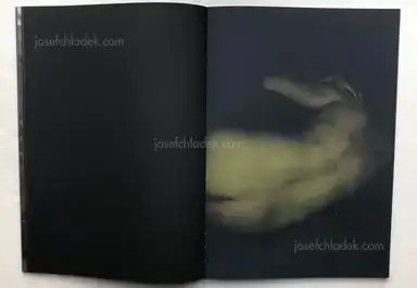 Sample page 8 for book "Dede, Dimitra – Dimitra Dede - Mayflies" Sample page 8 for book "Dede, Dimitra – Dimitra Dede - Mayflies"