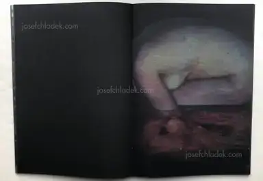 Sample page 7 for book "Dede, Dimitra – Dimitra Dede - Mayflies" Sample page 7 for book "Dede, Dimitra – Dimitra Dede - Mayflies"