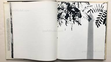 Sample page 5 for book Alicia D'Amico – Buenos Aires Buenos Aires