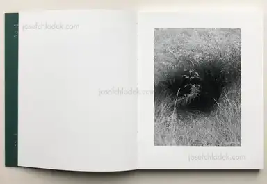 Sample page 19 for book "Hausthor, Dylan & Paul Guilmoth – Dylan Hausthor & Paul Guilmoth - Sleep Creek" Sample page 19 for book "Hausthor, Dylan & Paul Guilmoth – Dylan Hausthor & Paul Guilmoth - Sleep Creek"