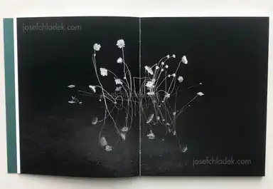 Sample page 12 for book "Hausthor, Dylan & Paul Guilmoth – Dylan Hausthor & Paul Guilmoth - Sleep Creek" Sample page 12 for book "Hausthor, Dylan & Paul Guilmoth – Dylan Hausthor & Paul Guilmoth - Sleep Creek"