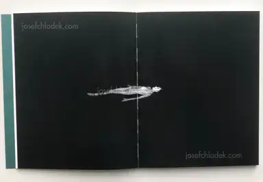 Sample page 11 for book "Hausthor, Dylan & Paul Guilmoth – Dylan Hausthor & Paul Guilmoth - Sleep Creek" Sample page 11 for book "Hausthor, Dylan & Paul Guilmoth – Dylan Hausthor & Paul Guilmoth - Sleep Creek"