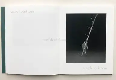 Sample page 7 for book "Hausthor, Dylan & Paul Guilmoth – Dylan Hausthor & Paul Guilmoth - Sleep Creek" Sample page 7 for book "Hausthor, Dylan & Paul Guilmoth – Dylan Hausthor & Paul Guilmoth - Sleep Creek"