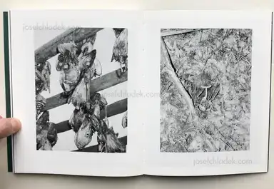 Sample page 2 for book "Hausthor, Dylan & Paul Guilmoth – Dylan Hausthor & Paul Guilmoth - Sleep Creek" Sample page 2 for book "Hausthor, Dylan & Paul Guilmoth – Dylan Hausthor & Paul Guilmoth - Sleep Creek"