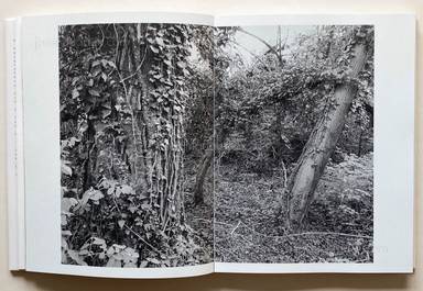 Sample page 10 for book "Anzenberger, Regina – Regina Anzenberger - Shifting Roots" Sample page 10 for book "Anzenberger, Regina – Regina Anzenberger - Shifting Roots"