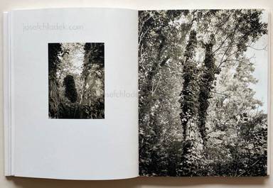 Sample page 10 for book  Regina Anzenberger – Shifting Roots