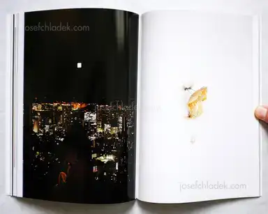 Sample page 2 for book "Takahashi, Munemasa – Munemasa Takahashi - SKYFISH" Sample page 2 for book "Takahashi, Munemasa – Munemasa Takahashi - SKYFISH"