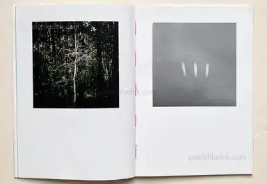 Sample page 5 for book "Brihay, Arnaud – Arnaud Brihay - Passager (second edition)" Sample page 5 for book "Brihay, Arnaud – Arnaud Brihay - Passager (second edition)"