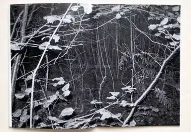 Sample page 2 for book "Brihay, Arnaud – Arnaud Brihay - Passager (second edition)" Sample page 2 for book "Brihay, Arnaud – Arnaud Brihay - Passager (second edition)"