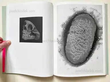 Sample page 11 for book "Parra, Tolo – Tolo Parra - Obscuria de Profundis" Sample page 11 for book "Parra, Tolo – Tolo Parra - Obscuria de Profundis"