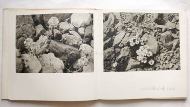 Sample page 13 for book "Angerer, Wilhelm und Ernst Sturmmair – Wilhelm Angerer, Die Einheit Tirols" Sample page 13 for book "Angerer, Wilhelm und Ernst Sturmmair – Wilhelm Angerer, Die Einheit Tirols"