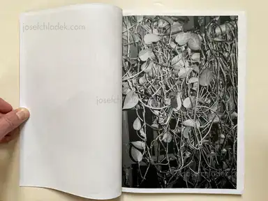 Sample page 16 for book "McElroy, Aaron – Aaron McElroy - The Devil May Care (bootleg)" Sample page 16 for book "McElroy, Aaron – Aaron McElroy - The Devil May Care (bootleg)"