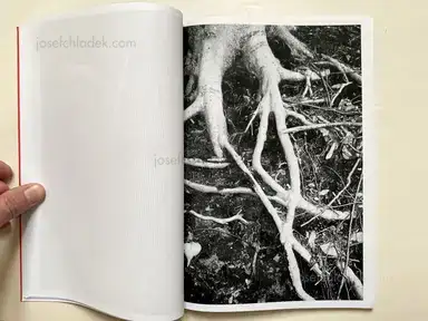 Sample page 12 for book "McElroy, Aaron – Aaron McElroy - The Devil May Care (bootleg)" Sample page 12 for book "McElroy, Aaron – Aaron McElroy - The Devil May Care (bootleg)"