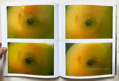 Sample page 7 for book "Glaubitz, Florian – Florian Glaubitz - Mutter Architektur" Sample page 7 for book "Glaubitz, Florian – Florian Glaubitz - Mutter Architektur"