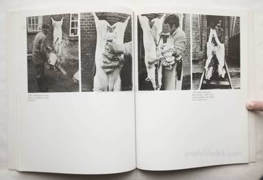 Sample page 5 for book "Secker, Bettina – Bettina Secker - August. Ein Leben auf dem Lande" Sample page 5 for book "Secker, Bettina – Bettina Secker - August. Ein Leben auf dem Lande"