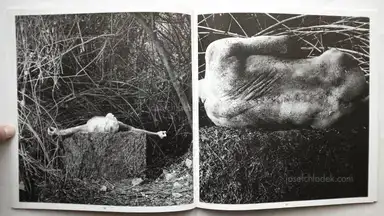 Sample page 11 for book "Appelt, Dieter – Dieter Appelt - Erinnerungsspur - Statische Vibration." Sample page 11 for book "Appelt, Dieter – Dieter Appelt - Erinnerungsspur - Statische Vibration."