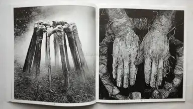 Sample page 10 for book "Appelt, Dieter – Dieter Appelt - Erinnerungsspur - Statische Vibration." Sample page 10 for book "Appelt, Dieter – Dieter Appelt - Erinnerungsspur - Statische Vibration."