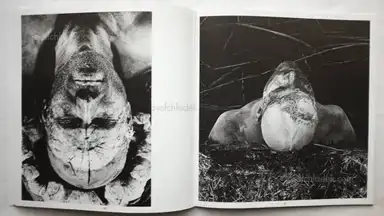 Sample page 9 for book "Appelt, Dieter – Dieter Appelt - Erinnerungsspur - Statische Vibration." Sample page 9 for book "Appelt, Dieter – Dieter Appelt - Erinnerungsspur - Statische Vibration."