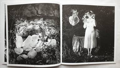 Sample page 4 for book Dieter Appelt &ndash; Erinnerungsspur - Statische Vibration. 