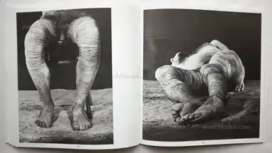 Sample page 6 for book "Appelt, Dieter – Dieter Appelt - Erinnerungsspur - Statische Vibration." Sample page 6 for book "Appelt, Dieter – Dieter Appelt - Erinnerungsspur - Statische Vibration."