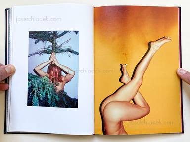 Sample page 8 for book Rene Maurin &ndash; A Manual for Silence