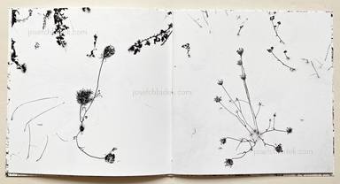 Sample page 23 for book "Anzenberger, Regina – Regina Anzenberger - Gstettn" Sample page 23 for book "Anzenberger, Regina – Regina Anzenberger - Gstettn"