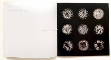 Sample page 20 for book "Anzenberger, Regina – Regina Anzenberger - Gstettn" Sample page 20 for book "Anzenberger, Regina – Regina Anzenberger - Gstettn"