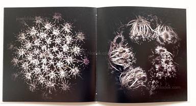 Sample page 19 for book "Anzenberger, Regina – Regina Anzenberger - Gstettn" Sample page 19 for book "Anzenberger, Regina – Regina Anzenberger - Gstettn"