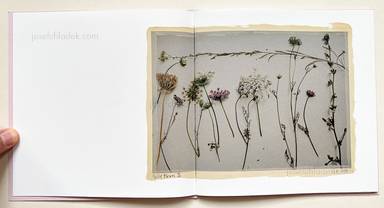 Sample page 17 for book "Anzenberger, Regina – Regina Anzenberger - Gstettn" Sample page 17 for book "Anzenberger, Regina – Regina Anzenberger - Gstettn"