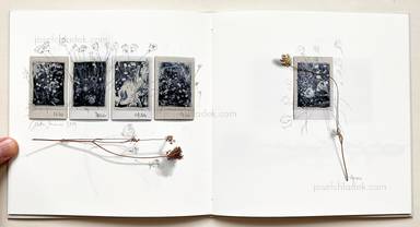 Sample page 13 for book "Anzenberger, Regina – Regina Anzenberger - Gstettn" Sample page 13 for book "Anzenberger, Regina – Regina Anzenberger - Gstettn"