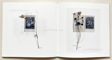 Sample page 12 for book "Anzenberger, Regina – Regina Anzenberger - Gstettn" Sample page 12 for book "Anzenberger, Regina – Regina Anzenberger - Gstettn"