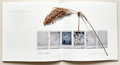 Sample page 11 for book "Anzenberger, Regina – Regina Anzenberger - Gstettn" Sample page 11 for book "Anzenberger, Regina – Regina Anzenberger - Gstettn"