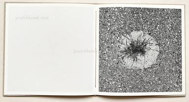 Sample page 10 for book "Anzenberger, Regina – Regina Anzenberger - Gstettn" Sample page 10 for book "Anzenberger, Regina – Regina Anzenberger - Gstettn"