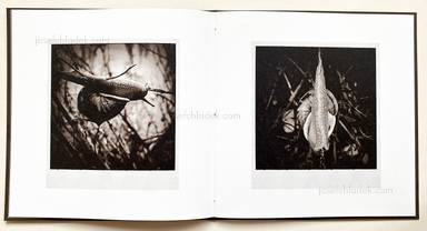 Sample page 8 for book "Anzenberger, Regina – Regina Anzenberger - Gstettn" Sample page 8 for book "Anzenberger, Regina – Regina Anzenberger - Gstettn"