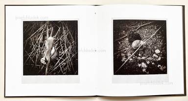 Sample page 6 for book "Anzenberger, Regina – Regina Anzenberger - Gstettn" Sample page 6 for book "Anzenberger, Regina – Regina Anzenberger - Gstettn"