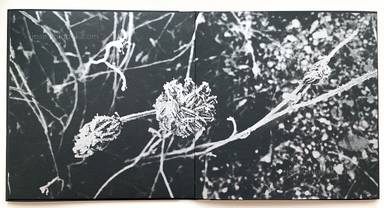 Sample page 4 for book "Anzenberger, Regina – Regina Anzenberger - Gstettn" Sample page 4 for book "Anzenberger, Regina – Regina Anzenberger - Gstettn"