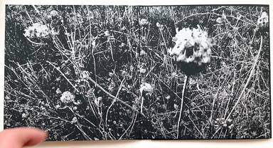 Sample page 3 for book "Anzenberger, Regina – Regina Anzenberger - Gstettn" Sample page 3 for book "Anzenberger, Regina – Regina Anzenberger - Gstettn"