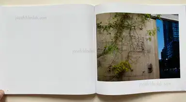 Sample page 3 for book "O'Hare, Patrick – Patrick O'Hare - Evanescent Cities" Sample page 3 for book "O'Hare, Patrick – Patrick O'Hare - Evanescent Cities"