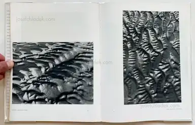 Sample page 17 for book "Ehrhardt, Alfred – Alfred Ehrhardt - Das Watt" Sample page 17 for book "Ehrhardt, Alfred – Alfred Ehrhardt - Das Watt"