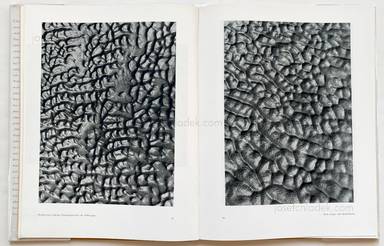 Sample page 16 for book "Ehrhardt, Alfred – Alfred Ehrhardt - Das Watt" Sample page 16 for book "Ehrhardt, Alfred – Alfred Ehrhardt - Das Watt"