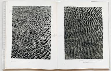 Sample page 13 for book "Ehrhardt, Alfred – Alfred Ehrhardt - Das Watt" Sample page 13 for book "Ehrhardt, Alfred – Alfred Ehrhardt - Das Watt"