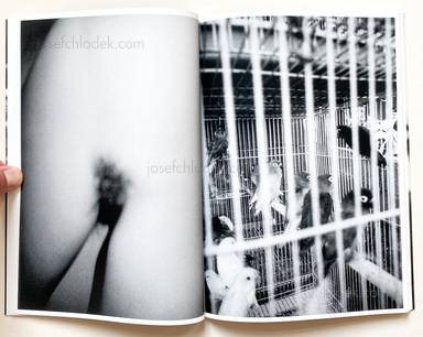 Sample page 8 for book  Kurama &ndash; Turtle カメさん