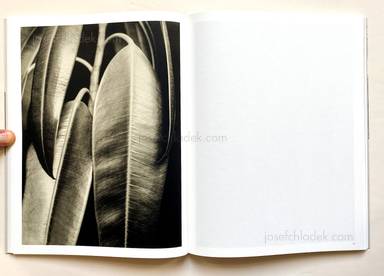 Sample page 15 for book "Biermann, Aenne – Aenne Biermann - Up Close and Personal" Sample page 15 for book "Biermann, Aenne – Aenne Biermann - Up Close and Personal"