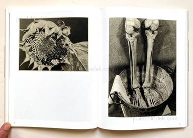 Sample page 9 for book "Biermann, Aenne – Aenne Biermann - Up Close and Personal" Sample page 9 for book "Biermann, Aenne – Aenne Biermann - Up Close and Personal"