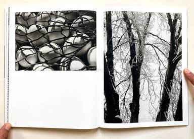 Sample page 4 for book "Biermann, Aenne – Aenne Biermann - Up Close and Personal" Sample page 4 for book "Biermann, Aenne – Aenne Biermann - Up Close and Personal"