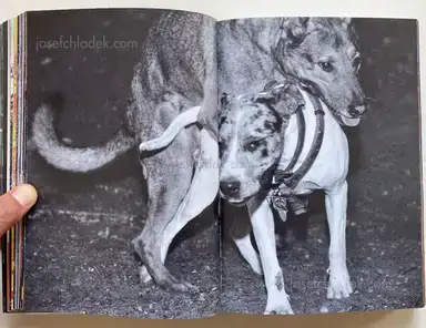 Sample page 23 for book "Braun, Steve – Steve Braun - V-Mann" Sample page 23 for book "Braun, Steve – Steve Braun - V-Mann"