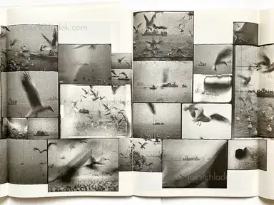 Sample page 2 for book "Ackerman, Michael – Michael Ackerman - Epilogue 2nd Edition" Sample page 2 for book "Ackerman, Michael – Michael Ackerman - Epilogue 2nd Edition"