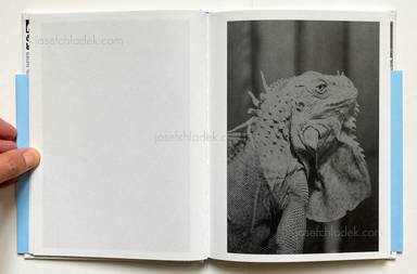 Sample page 13 for book "Merlini, Francesco – Francesco Merlini - The Flood" Sample page 13 for book "Merlini, Francesco – Francesco Merlini - The Flood"