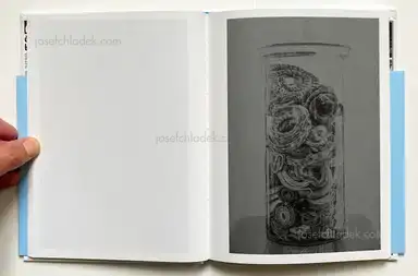 Sample page 11 for book "Merlini, Francesco – Francesco Merlini - The Flood" Sample page 11 for book "Merlini, Francesco – Francesco Merlini - The Flood"