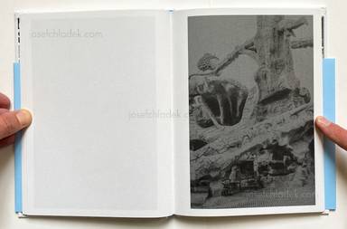 Sample page 8 for book Francesco Merlini – The Flood